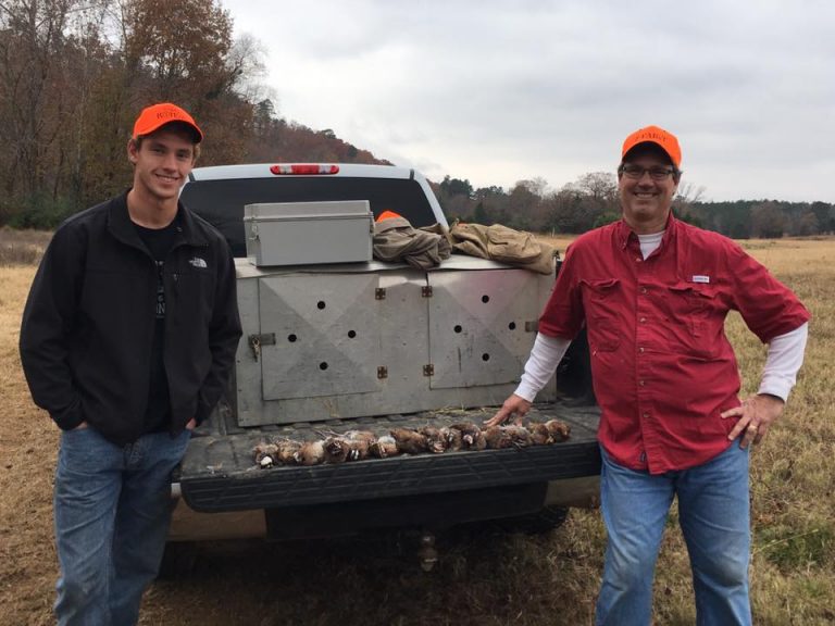 Gallery Halls Quail Preserve