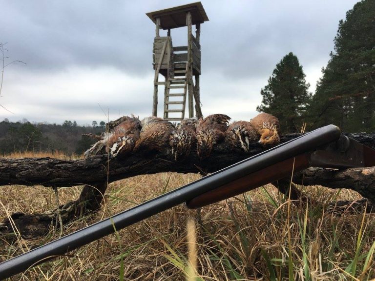 Gallery Halls Quail Preserve