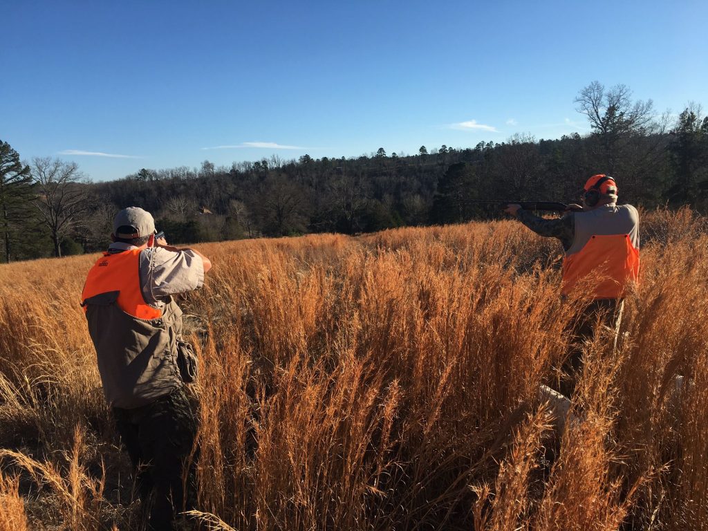 Information Halls Quail Preserve