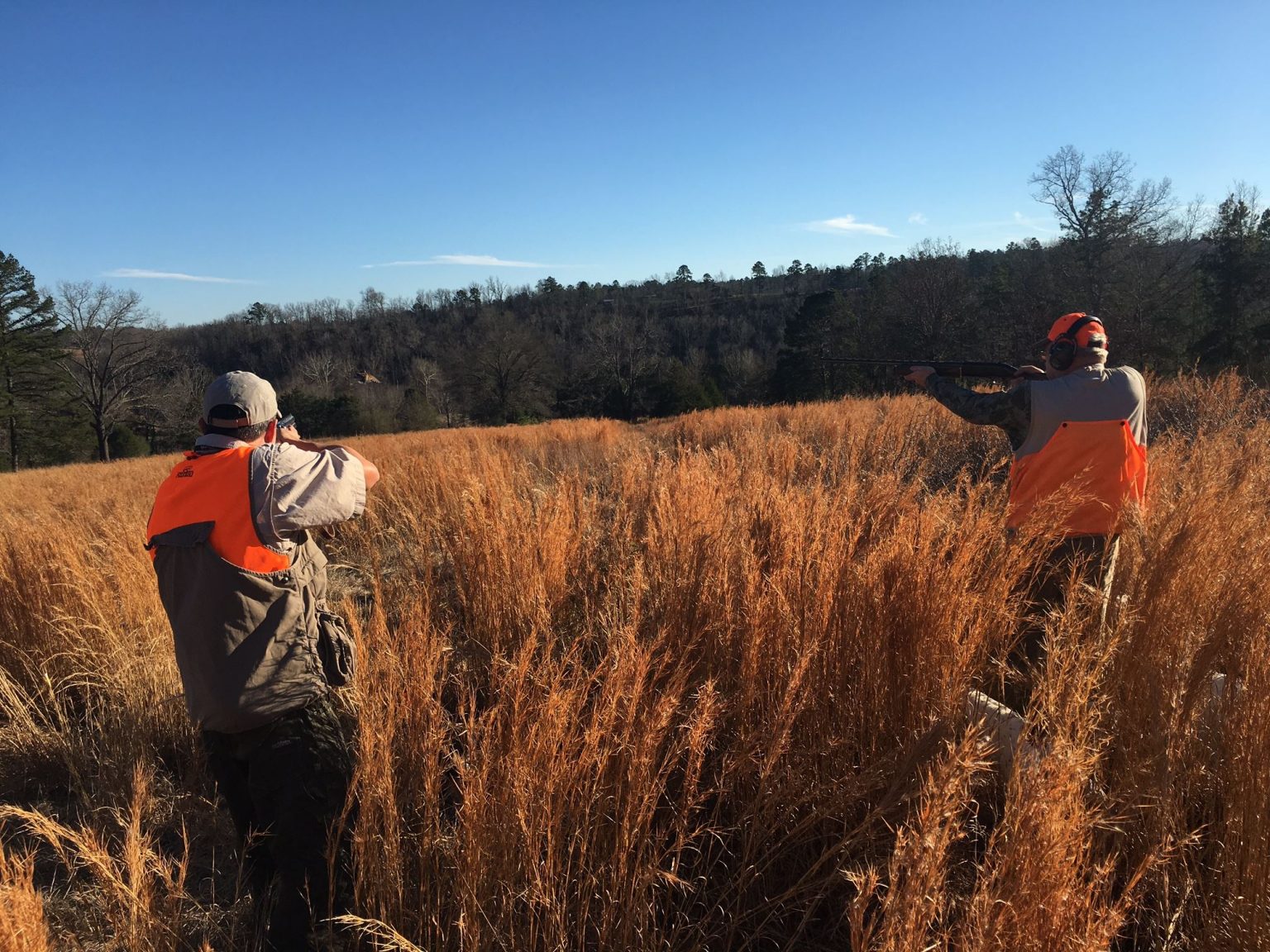Information Halls Quail Preserve