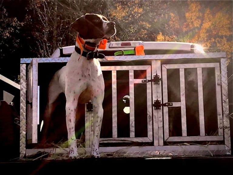 Gallery Halls Quail Preserve